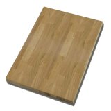 MASIF PANEL MEŞE