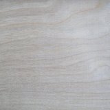 Masif Panel Meşe