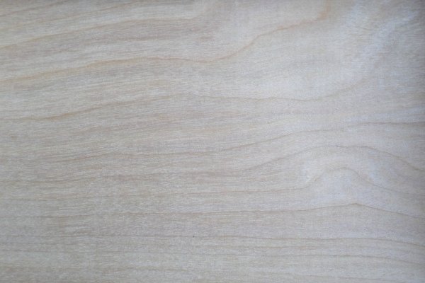 Masif Panel Meşe